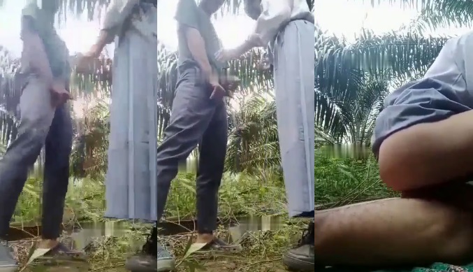 Cặp Đôi Teen Trốn Tiết Học Vào Vườn Cọ Làm Tình Cuồng Nhiệt